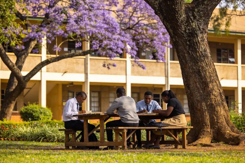 A university campus on an ordinary day, with students crossing the grounds.